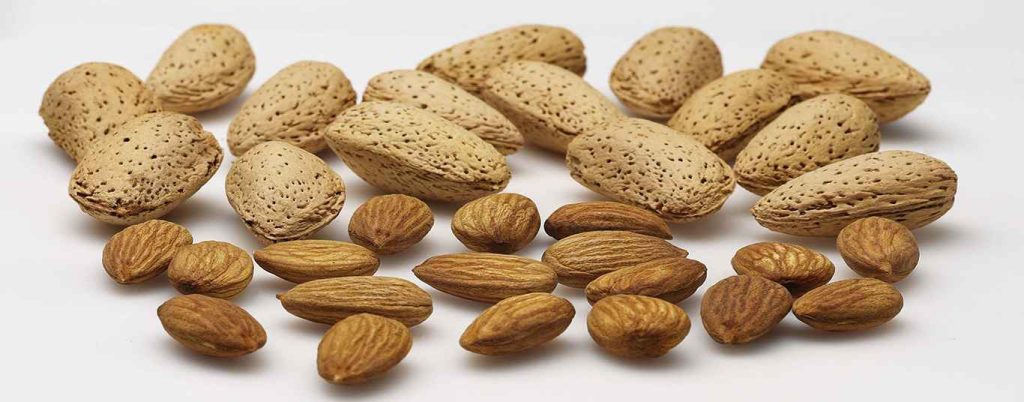 ایران از تولیدکنندگان بادام درختی ارگانیک است که می تواند برای صادرات بادام درختی به اروپا بسیار موفق عمل کند