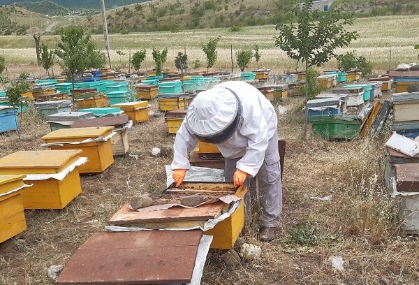 ایران با اقلیم هوایی چهار فصل  مستعد تولید عسل در انواع مختلف است بطوری که مازاد عسل باید صادر شود