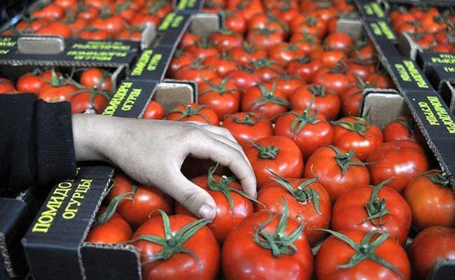 گوجه‌فرنگی به دلیل آسیب‌پذیری زیادی که دارد بسته‌بندی صادراتی آن بسیار حائز اهمیت است تا محصول هنگام حمل دچار آسیب نشود