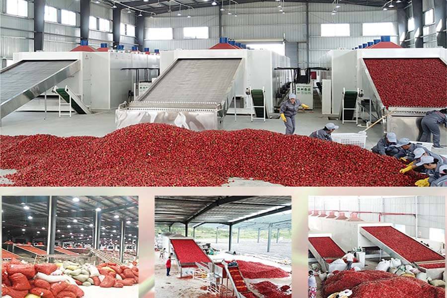 تولید عناب با کیفیت و عرضه آن با قیمت مناسب باعث افزایش تقاضا و افزایش صادرات عناب است