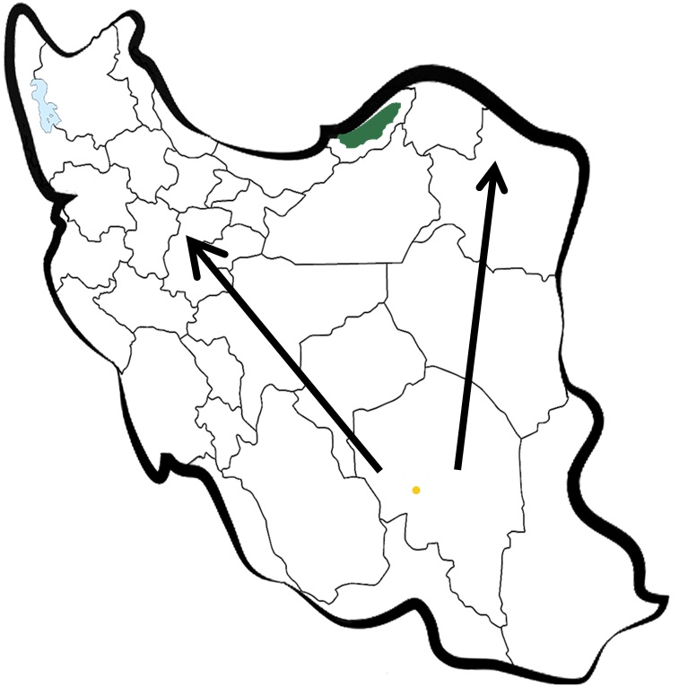انتقال نقاط کشت پسته از استان کرمان به استان های شمالی ایران باعث اضافه تولید که نیاز به صادرات پسته را تقویت می کند
