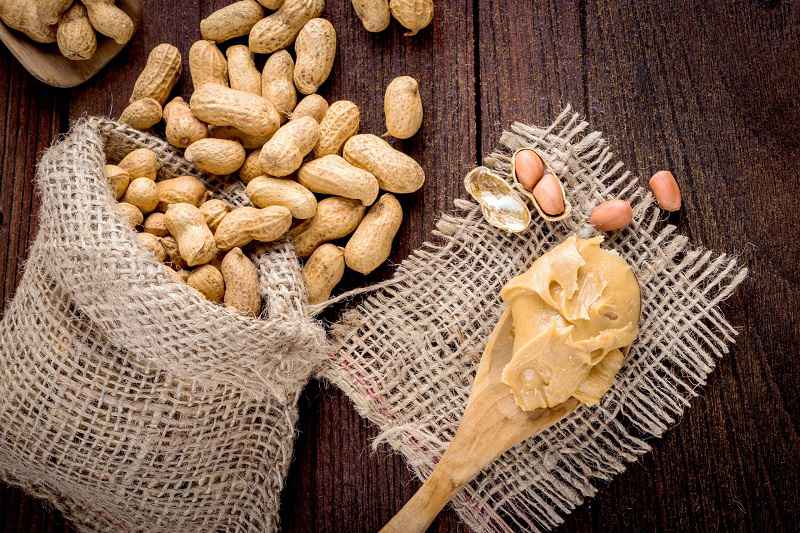 صادرات بادام زمینی از ایران می تواند به یکی از تجارت‌های پرسود تولیدکنندگان و تاجران شمال کشور بخصوص استان گیلان تبدیل شود