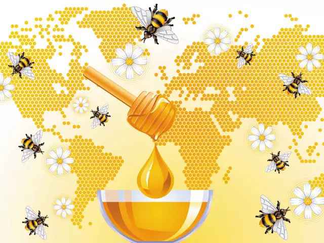 استفاده از روش های بازاریابی دیجیتال و سایر مهارت های صادراتی در صادرات عسل بسیار موثر است