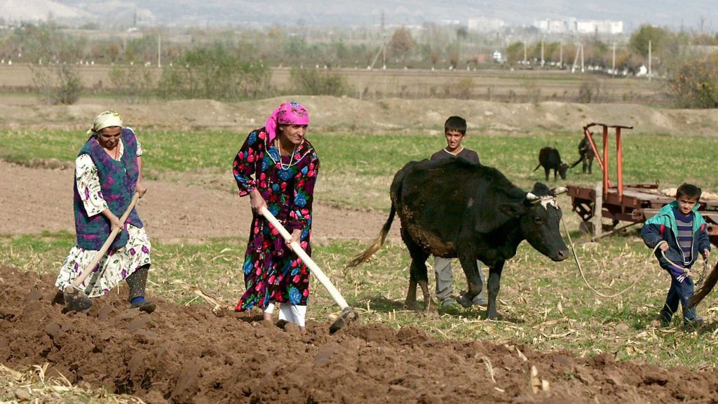 آمار صادرات به تاجیکستان از طریق کالاهایی که در تاجیکستان مصرف می‌شود و از بازرگانان ایرانی به دست می آید