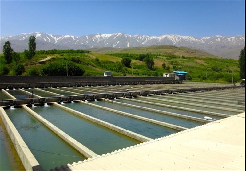عمده آبزیان چهارمحال و بختیاری به استان‌های تهران و اصفهان  و در صادرات به کشورهای امارات، روسیه و عراق انجام می شود