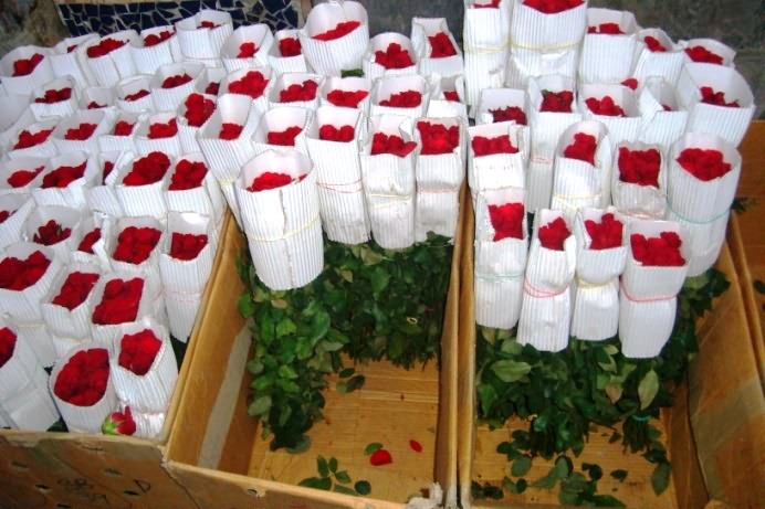 در سال تا شش میلیون شاخه گل رز به خارج استان صادر می شود