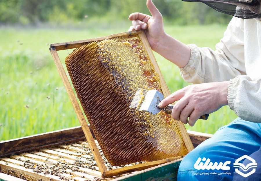  میانگین رطوبت عسل ۱۸ درصد است که اگر این به کمتر از ۱۷ برسد شفابخش بوده و از بهترین عسل‌های جهان است و عسل برخی مناطق ایلام به ۱۳ درصد هم می رسد!