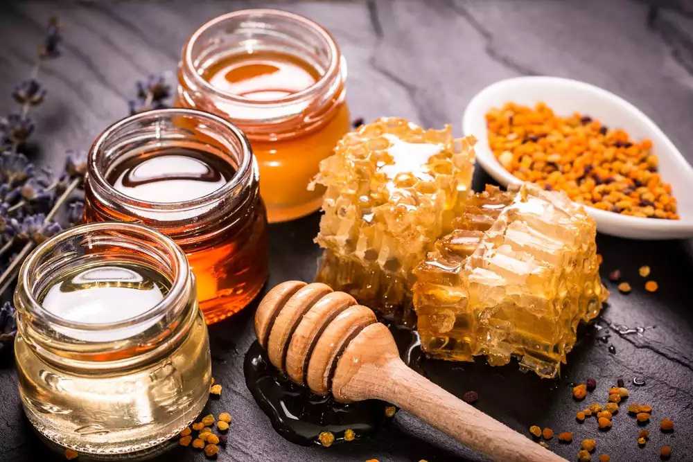  گیاهان شهدزای استان ایلام باعث رونق زنبورداری و کیفیت بالای عسل استان است