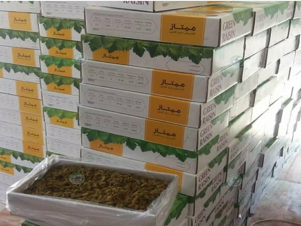  استان قزوین با وجود داشتن رتبه اول تولید کشمش، در صادرات آن مقام هفتم را دارد