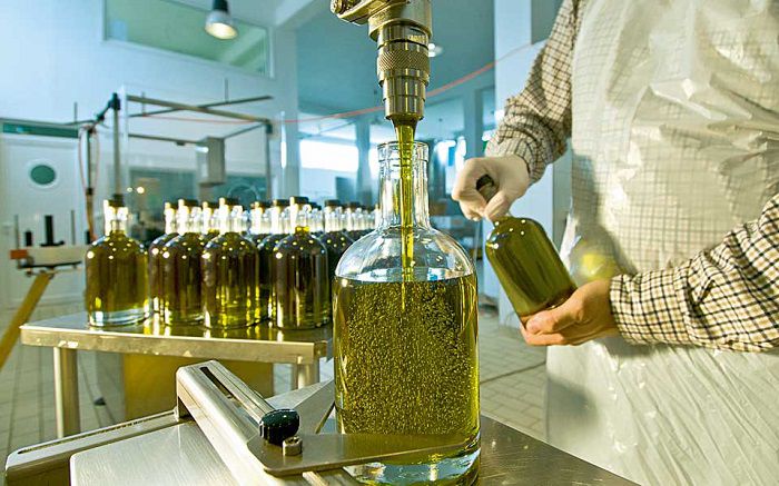 صادرات روغن زیتون در کنار زیتون اهمیت دارد و سودآوری بالایی برای تولیدکننده ها و شرکت ها دارد
