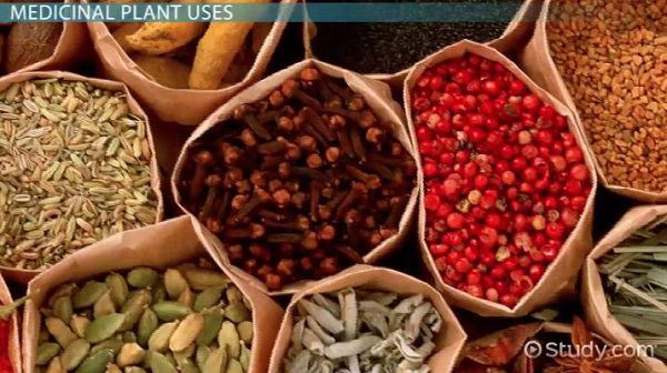صادرات گیاهان دارویی من جمله صادرات زرشک می تواند به یکی از تجارت های پر سود بخصوص برای خراسان جنوبی تبدیل شود