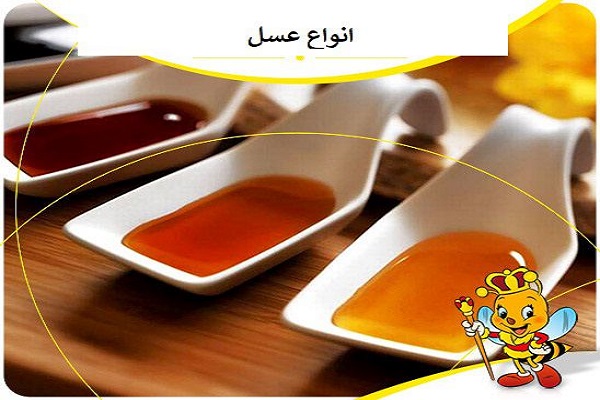 تنوع عسل در ایران به دلیل تنوع پوشش های گیاهی بی نظیر است