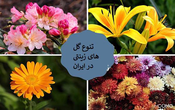 تنوع گل های زینتی در ایران بسیار بالاست مثل لاله اقاقیا و هزارن گل دیگر که قابلیت ارسال و حمل به سایر کشورها را دارد