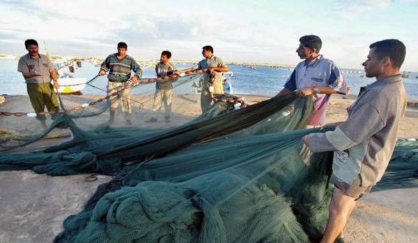 صید ماهی یکی از پیشه های مهم مردم در استان سیستان و بلوچستان است و قابلیت صادرات بالایی را دارد