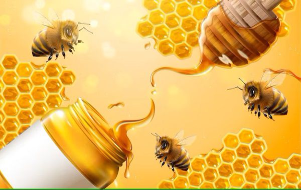 ایران از کشورهای عمده تولیدکننده عسل در جهان است و استان های زیادی در ایران درگیر تولید عسل مرغوب اند که قابلیت صادرات دارد