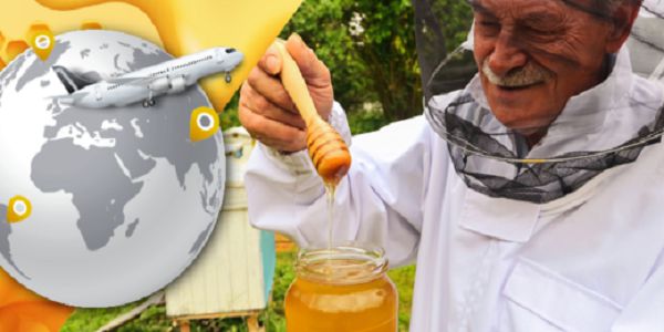ایران سومین تولیدکننده عسل جهان است اما 64 مین صادرکننده این محصول باارزش است!