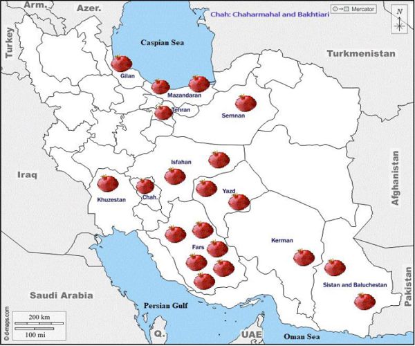 نقشه استان های انار خیز ایران