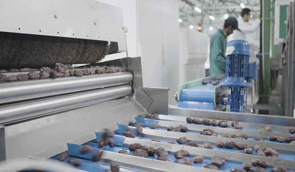 سورتینگ و بسته بندی خرما از مهمترین تجهیزات و آماده سازی خرما برای صادرات و عرضه آن به بازارهای بین المللی در استان کرمان است