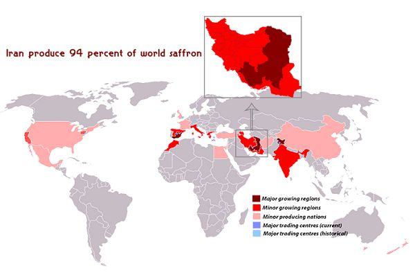 ایران بزرگترین تولید کننده زعفران در خاورمیانه، آفریقا و جهان است، به طوری که حدود 90 درصد از تولید زعفران جهان در ایران انجام می شود.