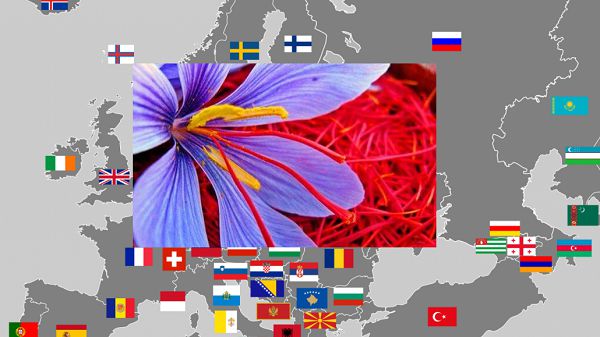 بر اساس گزارش CBI هلند و IPB آلمان، بازار گیاهان و ادویه جات طبیعی به ویژه زعفران ایرانی در اروپا رو به رشد است.