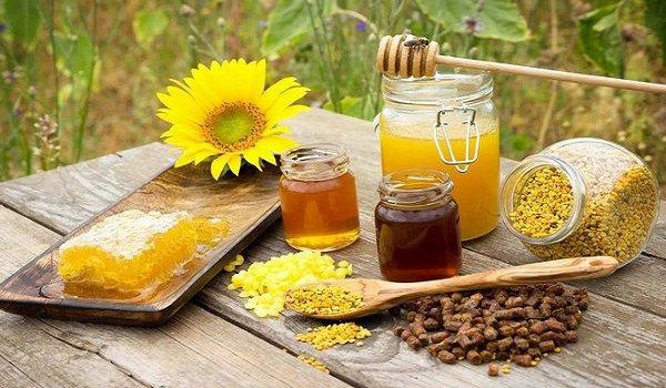 زهر زنبور عسل، ژل رویال، موم، بره موم و گرده گل اصلی ترین محصولات زنبورداری هستند که صادرات خوبی خواهند داشت