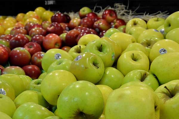 استان آذربایجان غربی سیب بسیار باکیفیتی دارد و بازارهای مصرف آن نامحدود است کشورهایی واردکننده سیب دنیا، روی سیب ایران دیدگاه بسیار خوبی دارند.